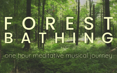 Forest Bathing