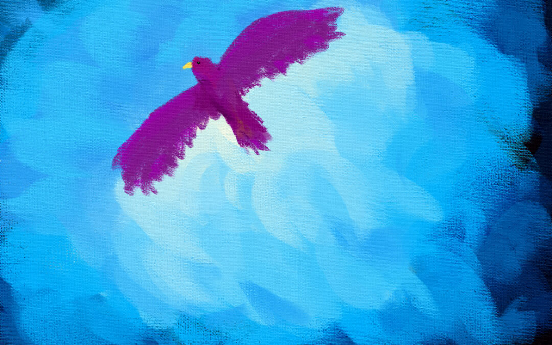 A Magical Appearance