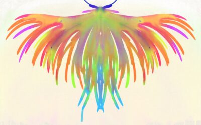 Mirror Moth