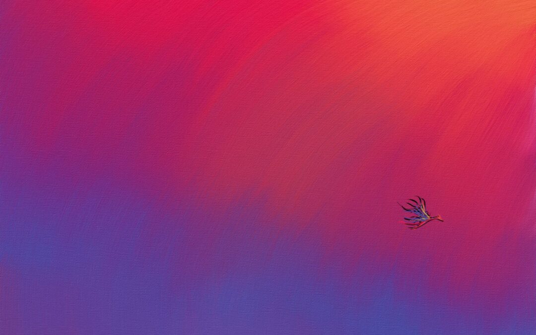 Skirting the Boundary