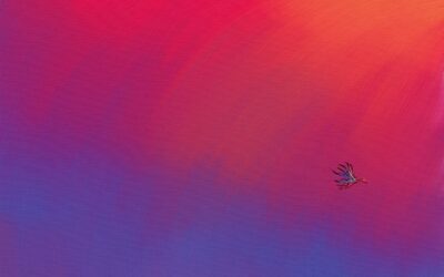 Skirting the Boundary