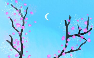 Cherry Moon