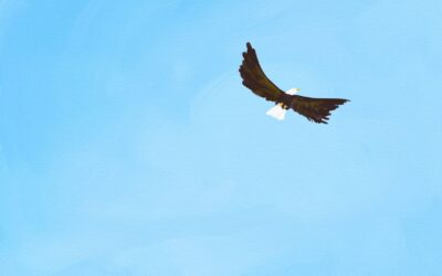 Exploring from the Sky