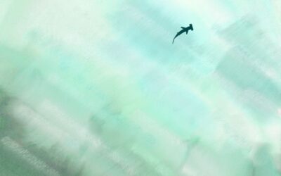 Hammerhead