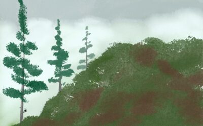 Magic Valley