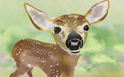 Spotted Encounter