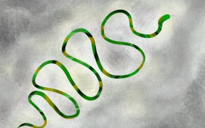 Slither