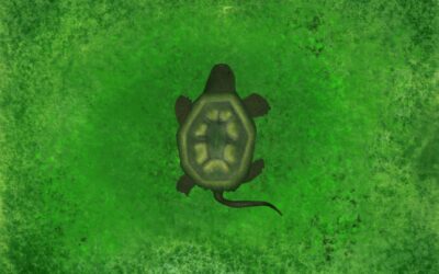 Tiny Ancient